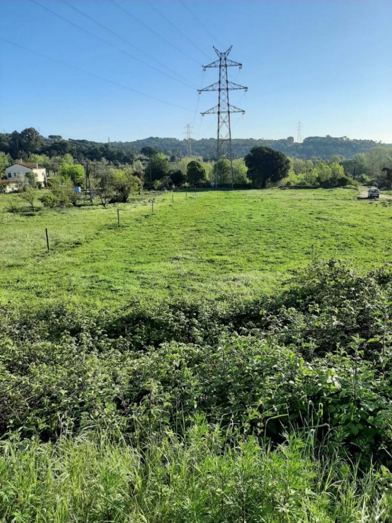 Sòl residencial a Sant Celoni 1265.00 m2