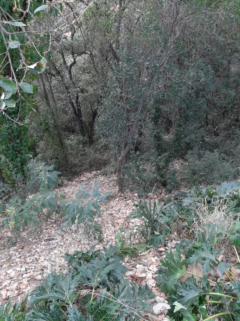 Sòl residencial a Riells i Viabrea 1200.00 m2