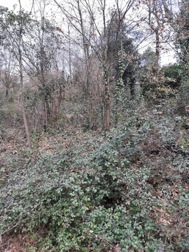Sòl residencial a Riells i Viabrea 1200.00 m2