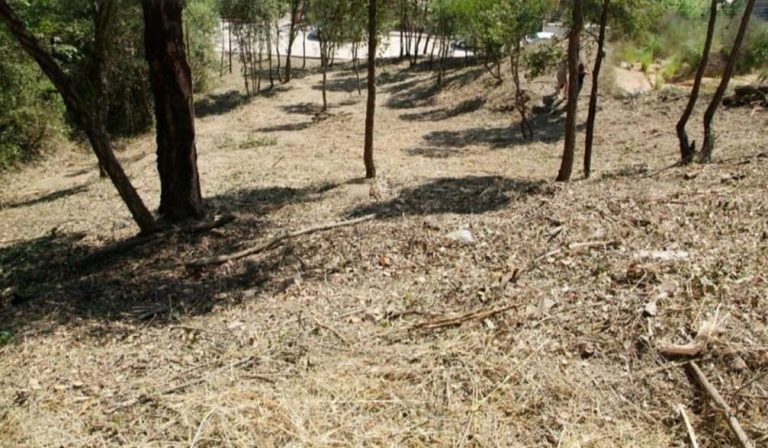 Sòl residencial a Riells i Viabrea 972.00 m2