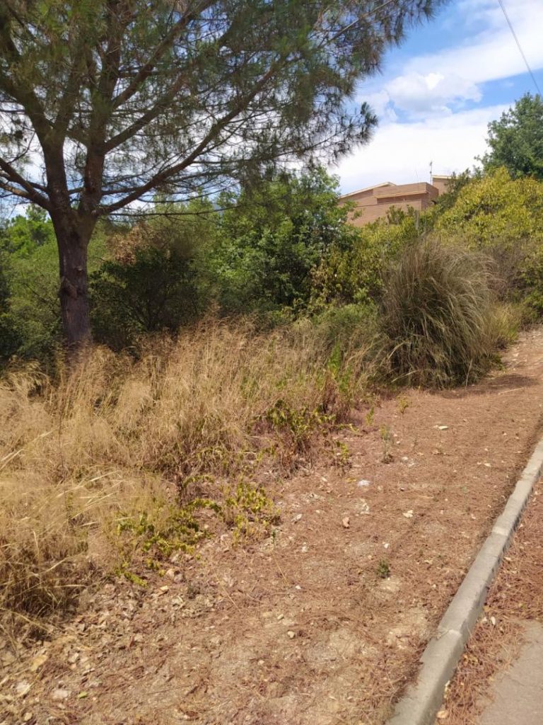 Sòl residencial a Riells 850.00 m2