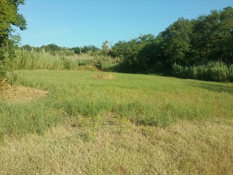 Sòl rústic a Santa Maria de Palautordera 50000.00 m2