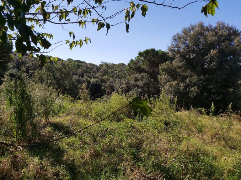 Sòl urbà a Sant Pere de Vilamajor 690.00 m2