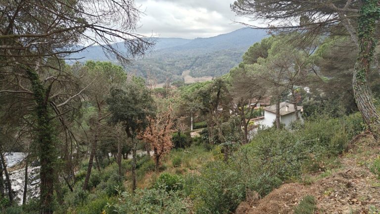 Sòl Urbanitzable a Vallgorguina 1072.00 m2