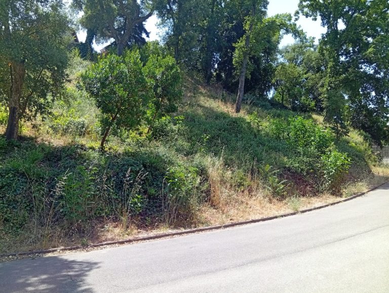 Sòl Urbanitzable a Vallgorguina 2445.00 m2