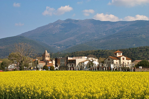 Unifamiliar adossada a Sant Esteve de Palautordera 200.00 m2